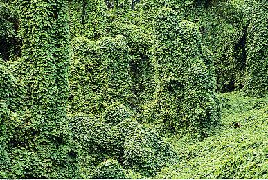 Gravity Game Arise公布2023年东京电玩展阵容